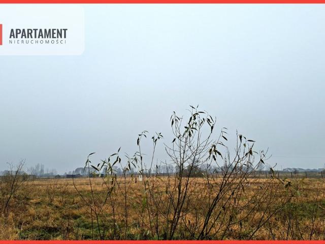 Grunt na sprzedaż w Olimpin, Kujawsko-pomorskie