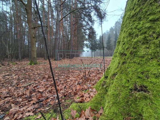Grunt na sprzedaż w Nadarzyn, Mazowieckie