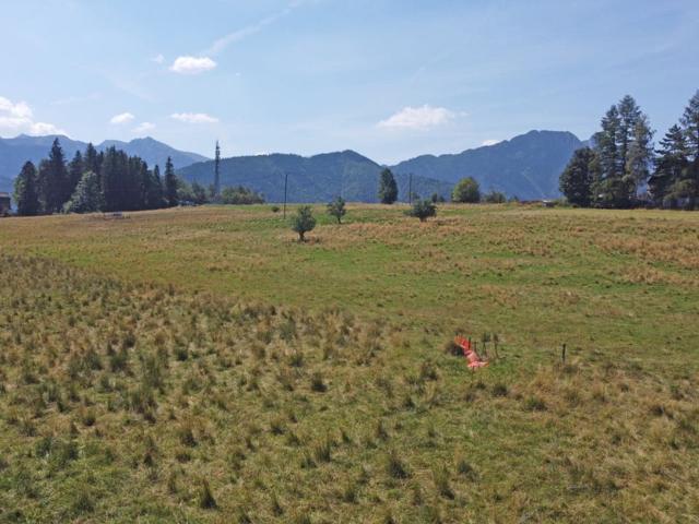 Grunt na sprzedaż w Zakopane, Małopolskie