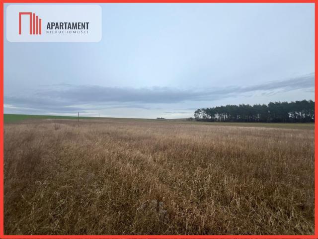 Grunt na sprzedaż w Szubin, Kujawsko-pomorskie