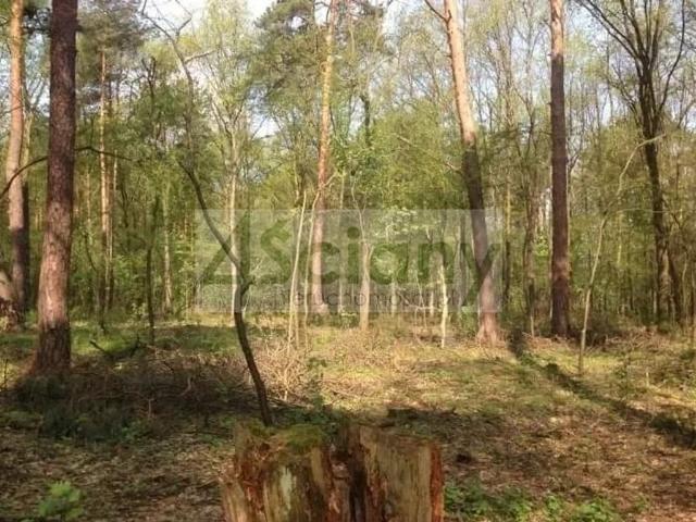 Grunt na sprzedaż w Sękocin-Las, Mazowieckie