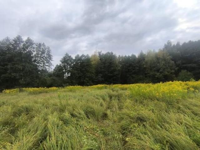 Grunt na sprzedaż w Pyskowice, Śląskie
