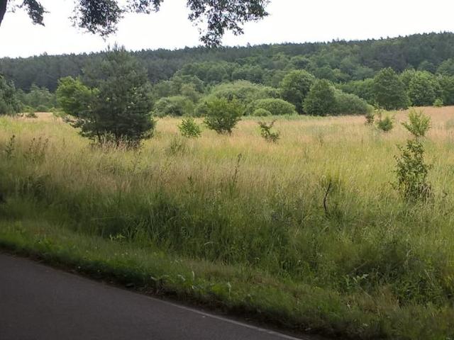 Grunt na sprzedaż w Baldram, powiat kwidzyński