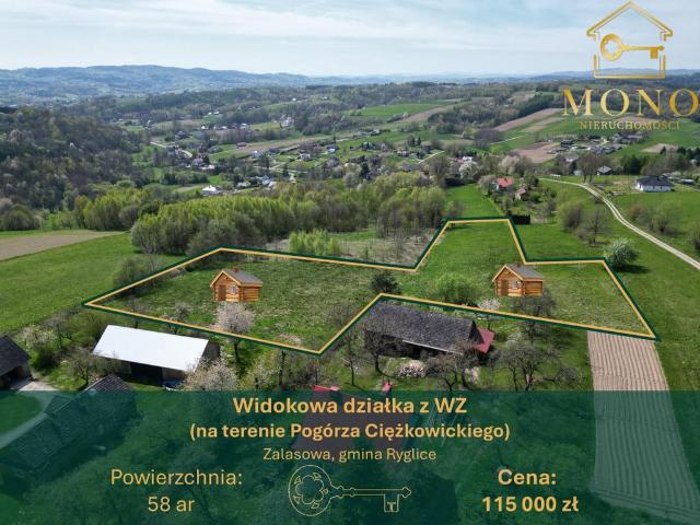 Grunt na sprzedaż w Zalasowa, Małopolskie