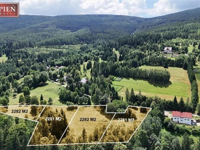 Grunt na sprzedaż w Świeradów-zdrój, Dolnośląskie