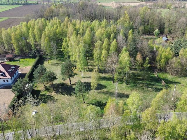 Grunt na sprzedaż w Dąbrowa Tarnowska, Małopolskie