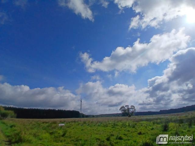 Grunt na sprzedaż w Przybiernów, Zachodniopomorskie