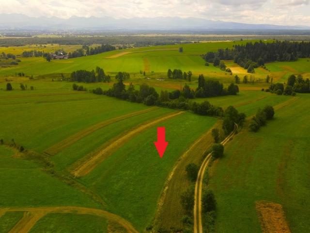 Grunt na sprzedaż w Odrowąż, Małopolskie