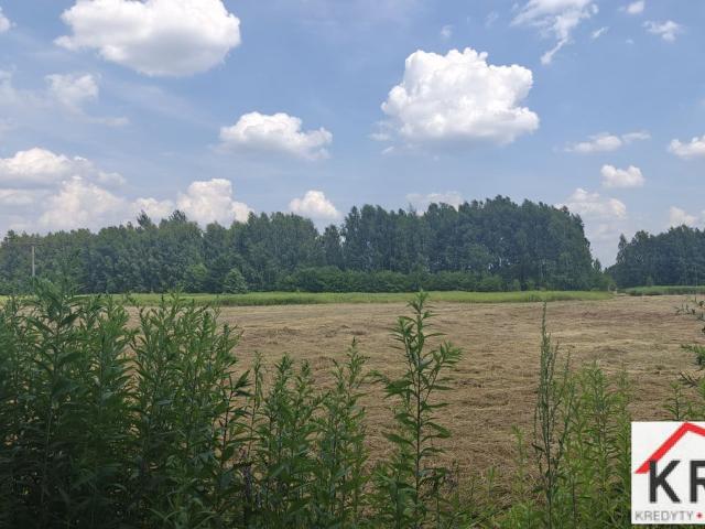 Grunt na sprzedaż w Opolskie