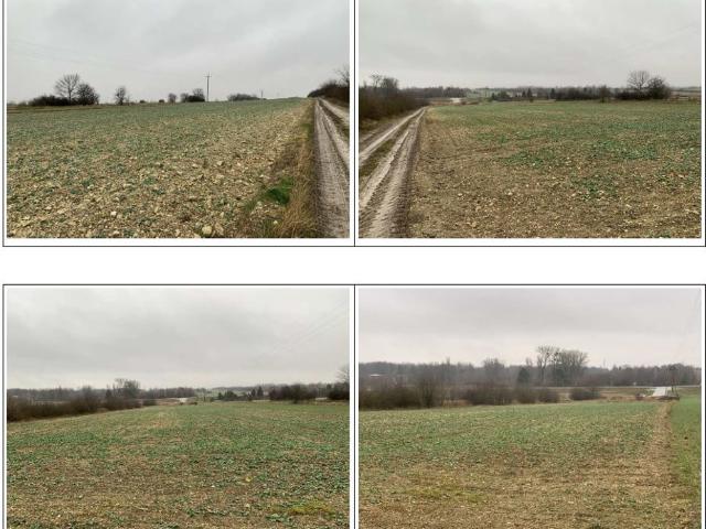 Grunt na sprzedaż w Kraśnik, Lubelskie