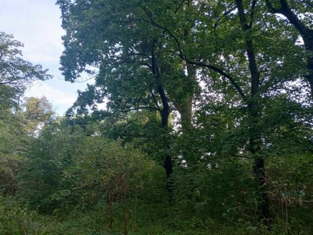 Grunt na sprzedaż w Kujawsko-pomorskie