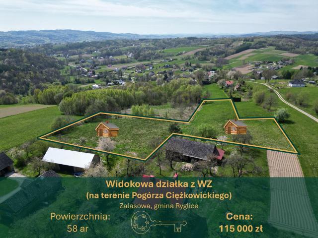 Grunt na sprzedaż w Dolce, Zalasowa