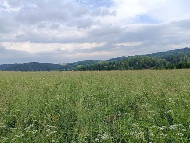 Grunt na sprzedaż w Walim, Dolnośląskie