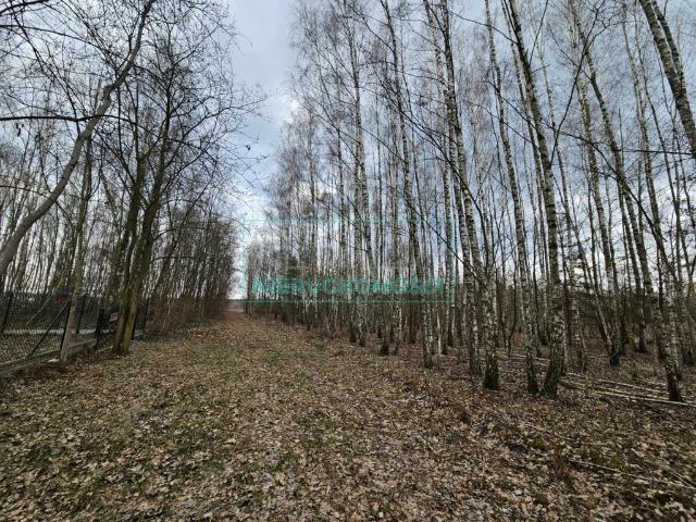Grunt na sprzedaż w Słubica B, Mazowieckie