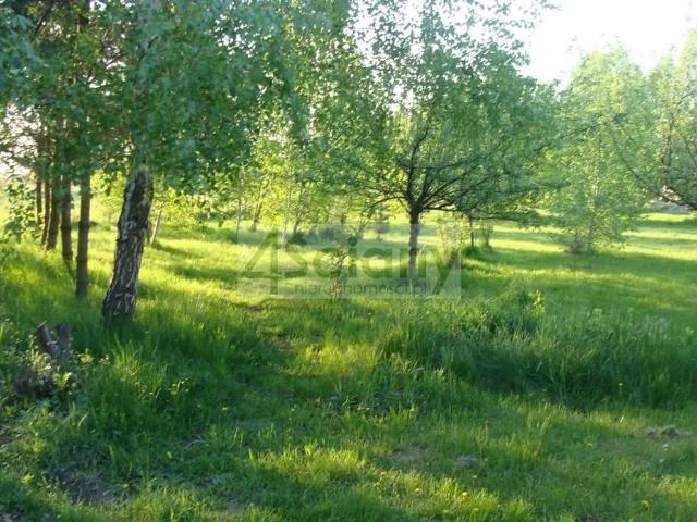 Grunt na sprzedaż w Grodzisk Mazowiecki, Mazowieckie