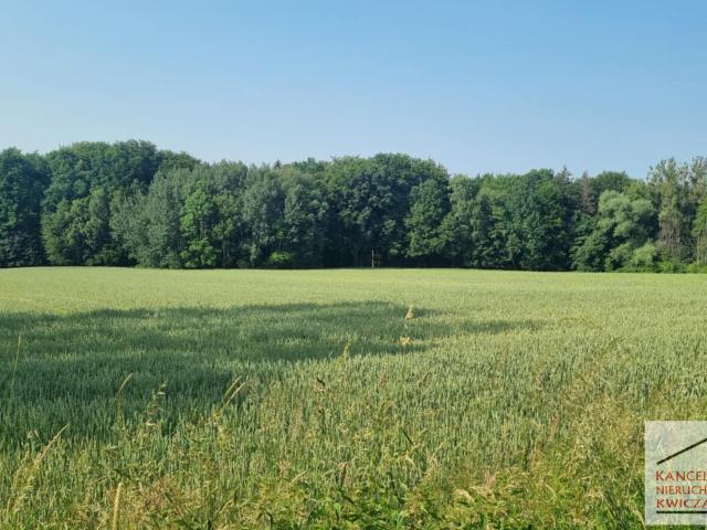 Grunt na sprzedaż w Ochaby Małe, Śląskie
