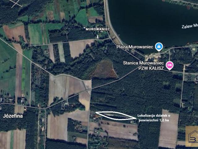 Grunt na sprzedaż w Józefina, Wielkopolskie