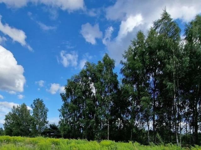 Grunt na sprzedaż w Żelechów, Mazowieckie