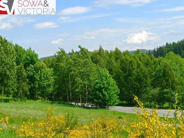 Grunt na sprzedaż w Jedlina-zdrój, Dolnośląskie