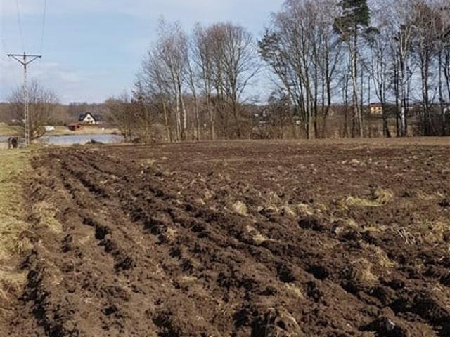Grunt na sprzedaż w Pszczyna, Śląskie