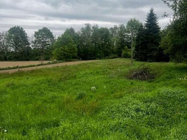 Grunt na sprzedaż w Nowe Dwory, Małopolskie