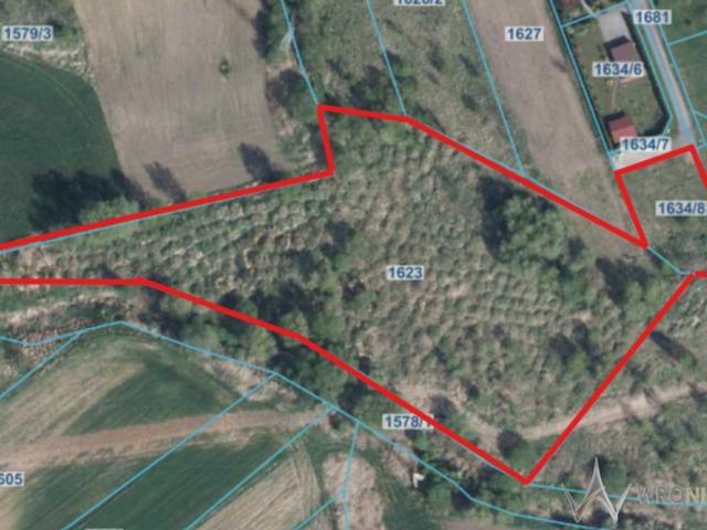 Grunt na sprzedaż w Kędzierzyn-koźle, Opolskie