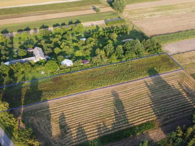 Grunt na sprzedaż w Białopole-Kolonia, Białopole
