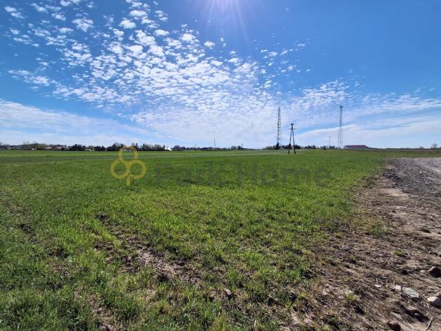 Grunt na sprzedaż w Damasławek, Wielkopolskie
