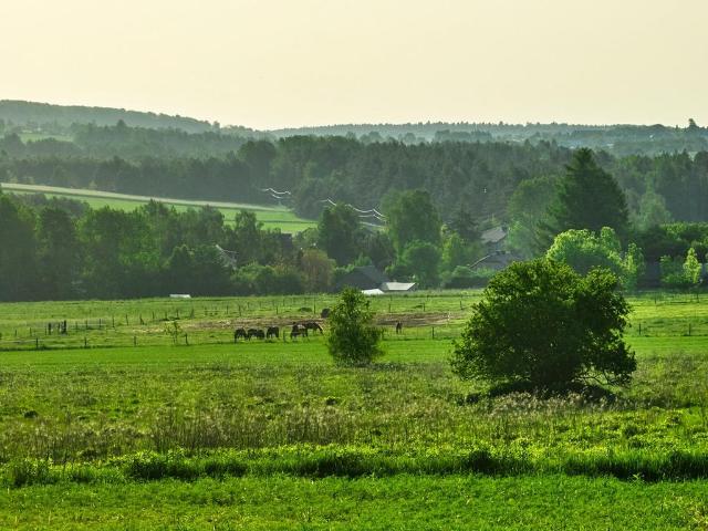 Grunt na sprzedaż w Zawiercie, Śląskie