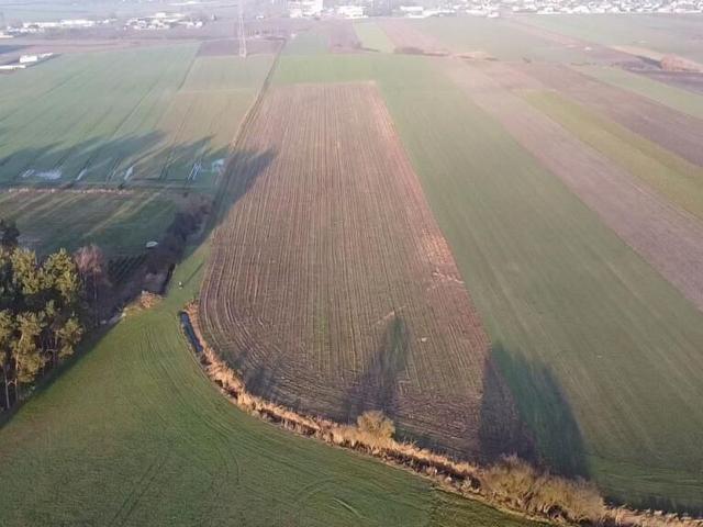 Grunt na sprzedaż w Borek Wielkopolski, Wielkopolskie