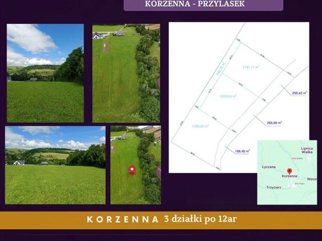 Grunt na sprzedaż w Korzenna, Małopolskie