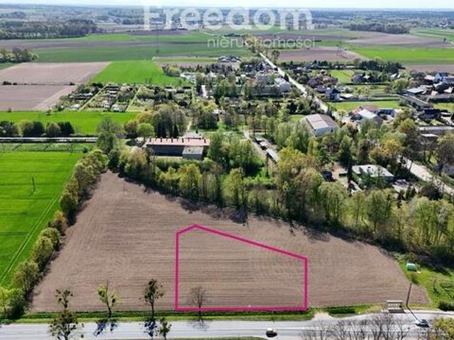 Grunt na sprzedaż w Dąbrowa, Opolskie