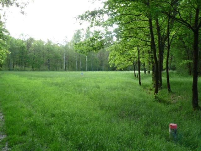 Grunt na sprzedaż w Świdnica, Lubuskie