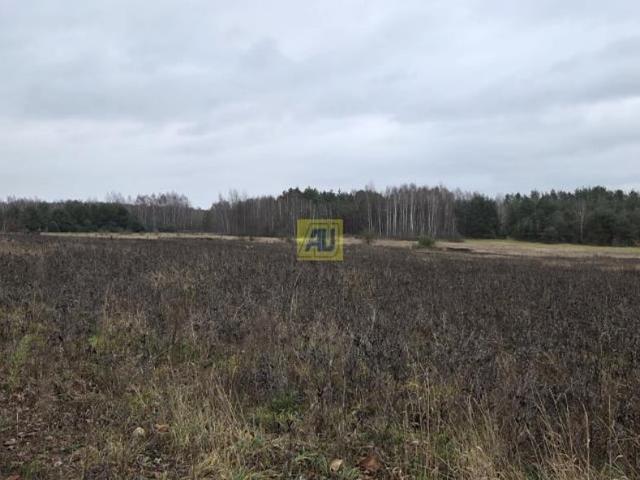 Grunt na sprzedaż w Ryki, Lubelskie