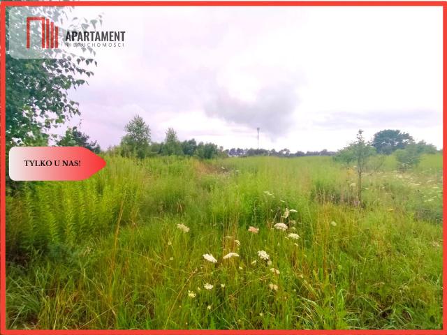 Grunt na sprzedaż w Zblewo, Pomorskie