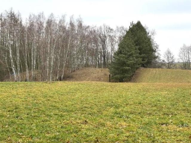 Grunt na sprzedaż w Wójtostwo, Wielkopolskie