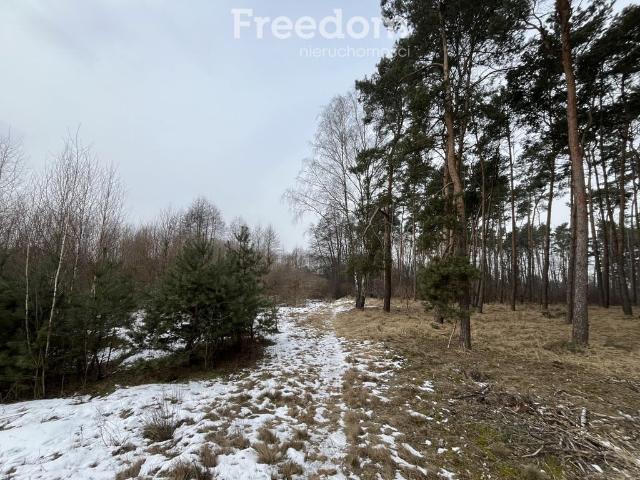 Grunt na sprzedaż w Kopanino, Kujawsko-pomorskie