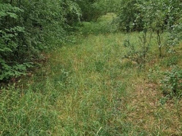 Grunt na sprzedaż w Wągrowiec, Wielkopolskie