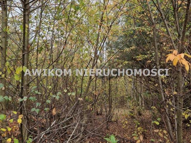 Grunt na sprzedaż w Jaktorów, Mazowieckie