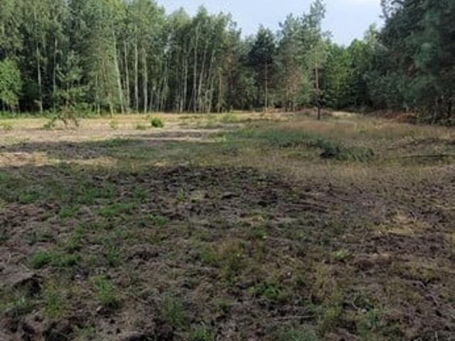 Grunt na sprzedaż w Wolanów, Mazowieckie