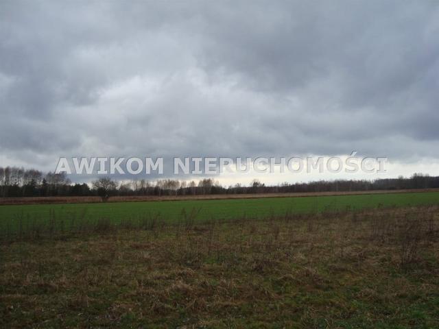 Grunt na sprzedaż w Żelechów, Mazowieckie