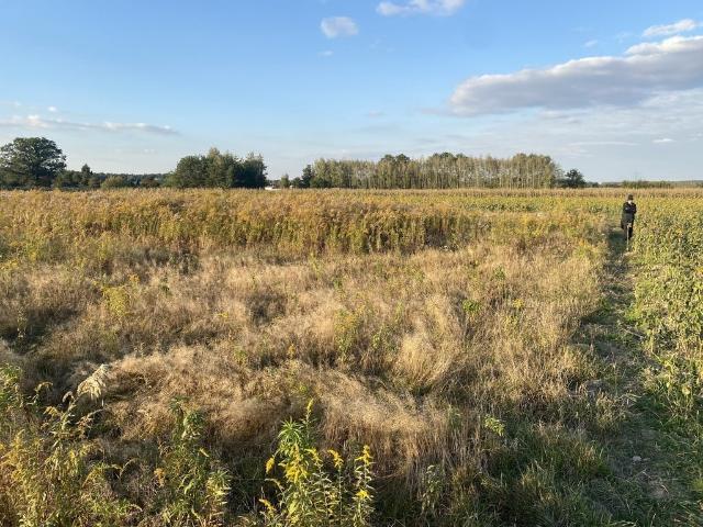 Grunt na sprzedaż w Koluszki, Łódzkie