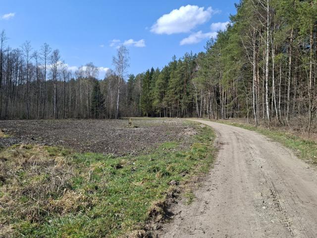 Grunt na sprzedaż w Solniczki, Podlaskie