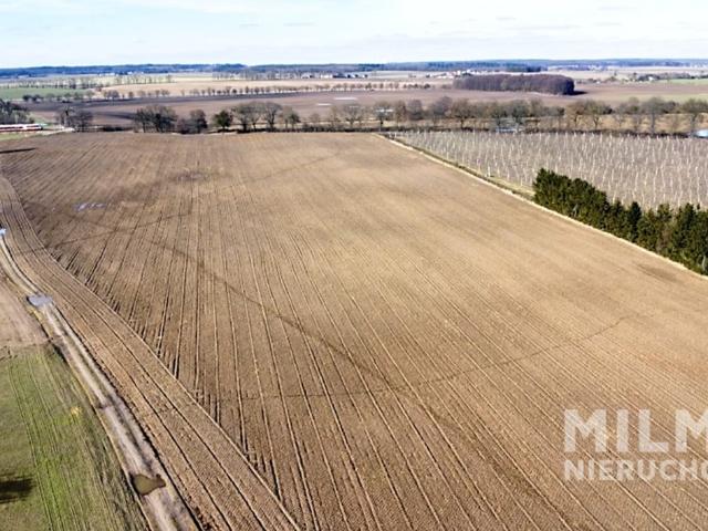 Grunt na sprzedaż w Murowana Goślina, Wielkopolskie