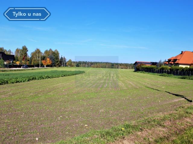 Grunt na sprzedaż w Pierzchno, Śląskie