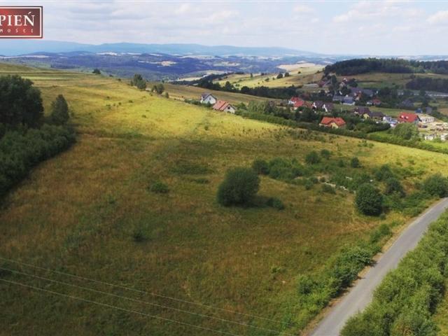 Grunt na sprzedaż w Jeżów Sudecki, Dolnośląskie