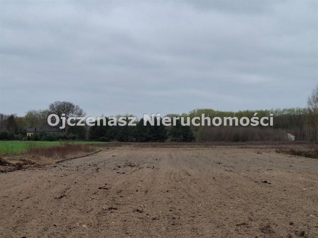 Grunt na sprzedaż w Dąbrowa Chełmińska, Kujawsko-pomorskie