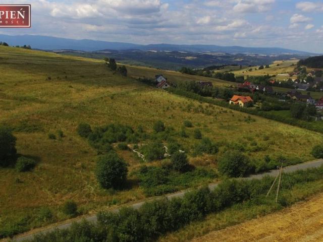 Grunt na sprzedaż w Jeżów Sudecki, Dolnośląskie
