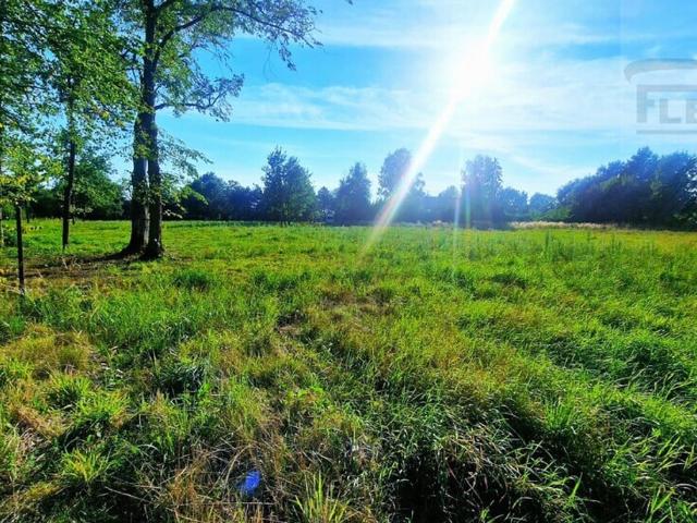 Grunt na sprzedaż w Rusiec, Mazowieckie