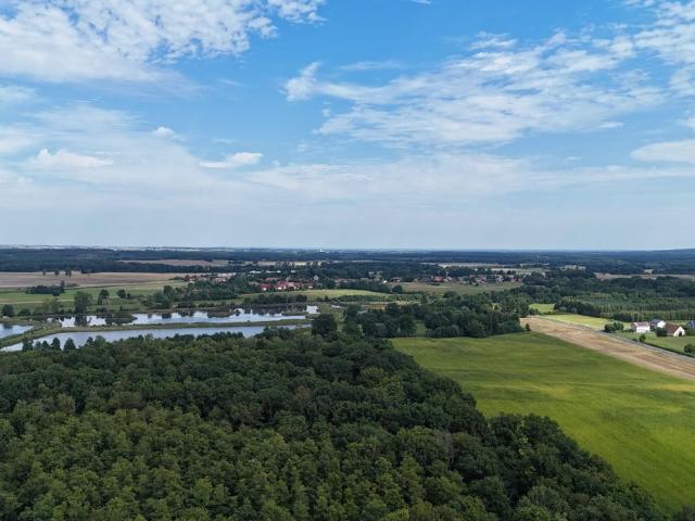 Grunt na sprzedaż w Wołów, Dolnośląskie